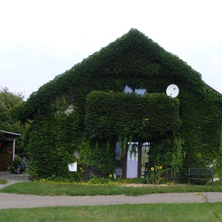 Dworek Lachowicze Grzegorzewice Extérieur photo
